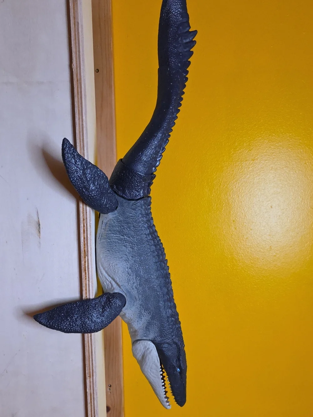 Mosasaurus